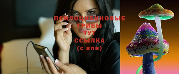 бутират Белокуриха