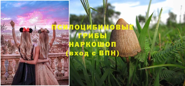 бутират Белокуриха