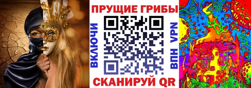где найти наркотики  Болотное  Галлюциногенные грибы Psilocybe 