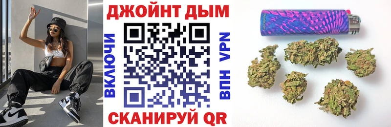 OMG как войти  Болотное  Бошки Шишки план 